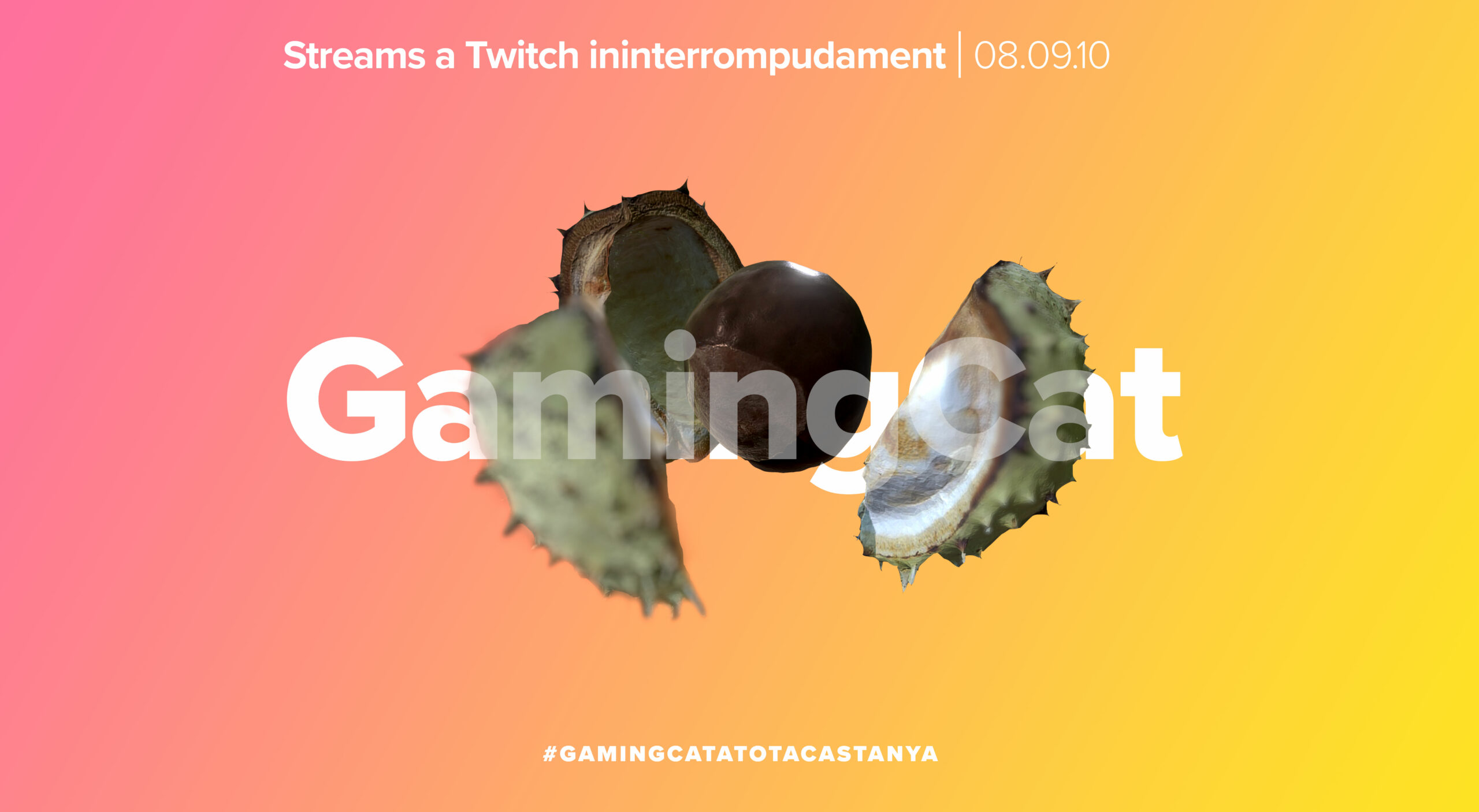 Cartell de l'esdeveniment "Gaming.cat a tota castanya"