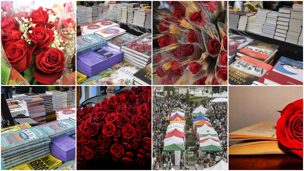 collage Sant Jordi en Xarxa
